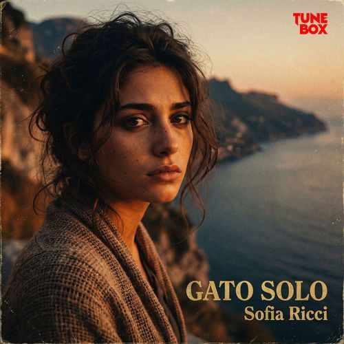 Gato Solo
