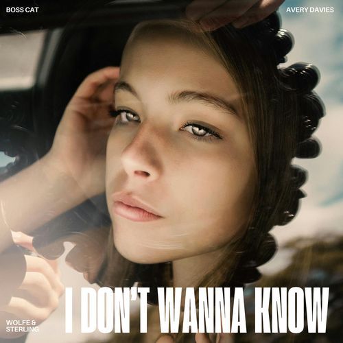 I Don't Wanna Know