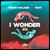 I Wonder (feat. Shai)