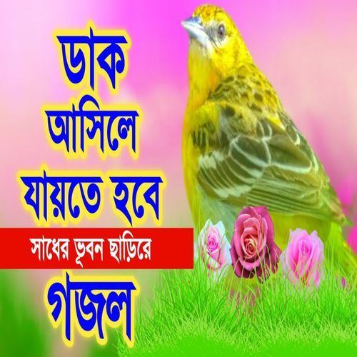 Kar Ashate Royla Miche Mayay