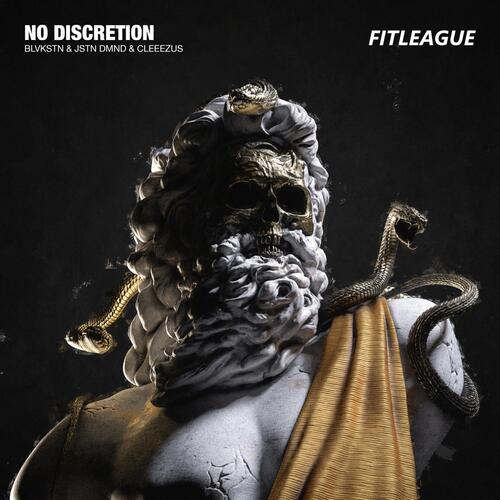 No Discretion_poster_image