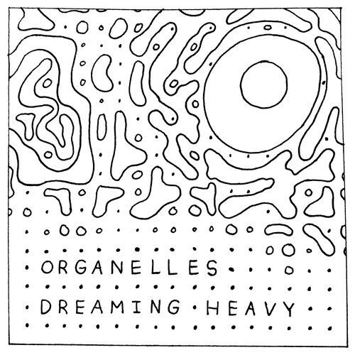Lucid Dream