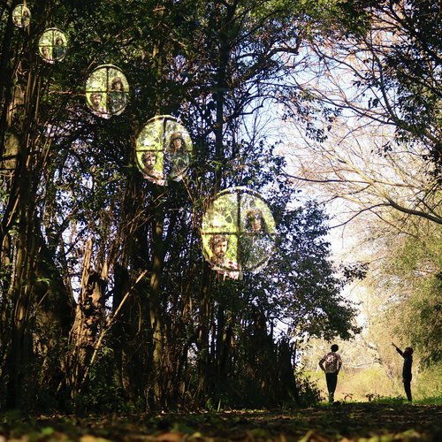 Pájaros De Escalada cover art