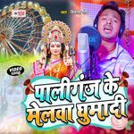 Paliganj Ke Melwa Ghumadi Song 2025