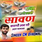 Radha Mhari Aado Sawan Kadgo Ab To Aar Milja