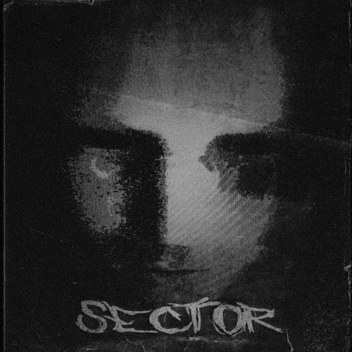 SECTOR (ULTRA SLOWED) cover art