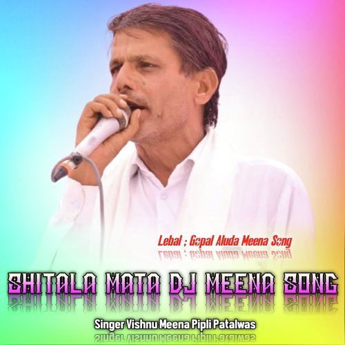Shitala Mata Dj Meena Song (Hindi)