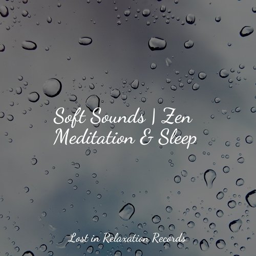 Soft Sounds | Zen Meditation & Sleep