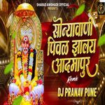 Sonyavaani Pival Zalay Aadmapur (Remix)