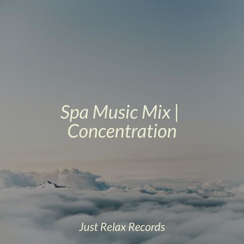 Spa Music Mix | Concentration