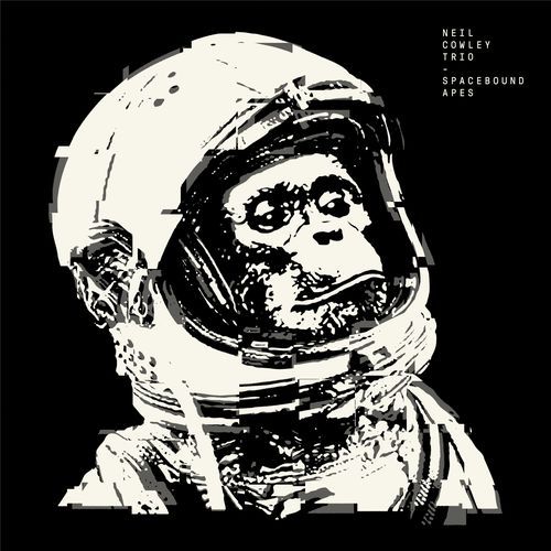 Echo Nebula cover art