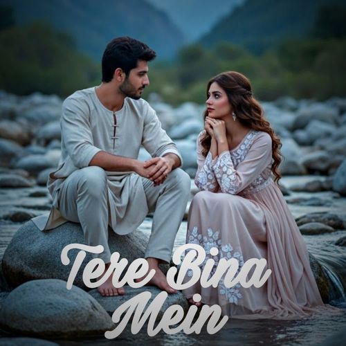 Tere Bina Mein