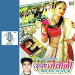 Saali Pe Bhaiya Diwana artwork