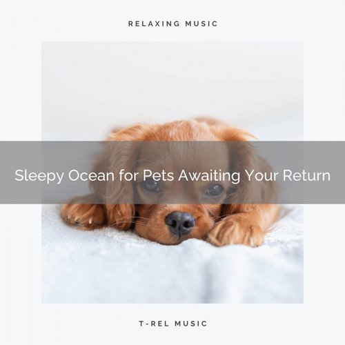 For Happy Pets cover art