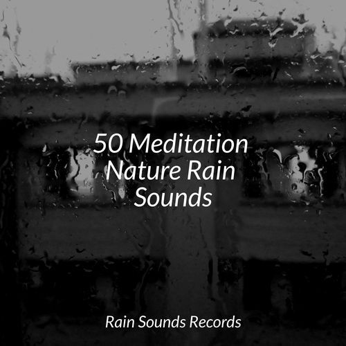 50 Meditation Nature Rain Sounds