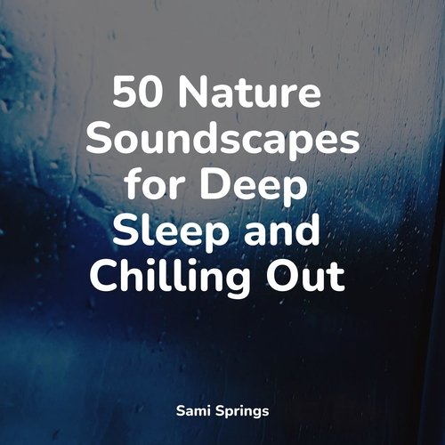 50 Nature Soundscapes for Deep Sleep and Chilling Out_poster_image