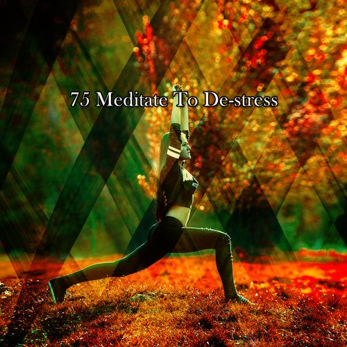 75 Meditate To De stress