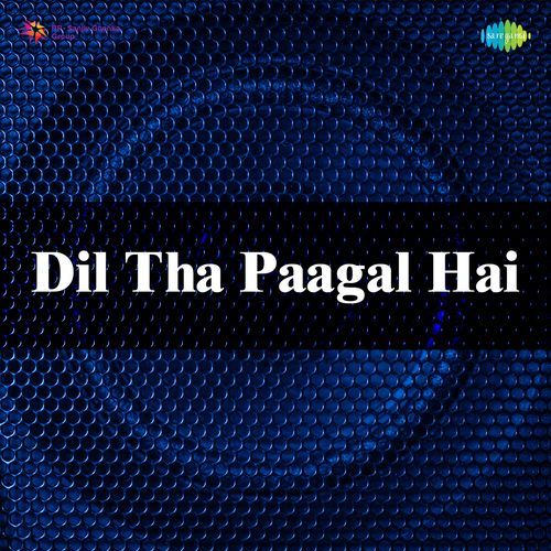 Dil Tha Paagal Hai
