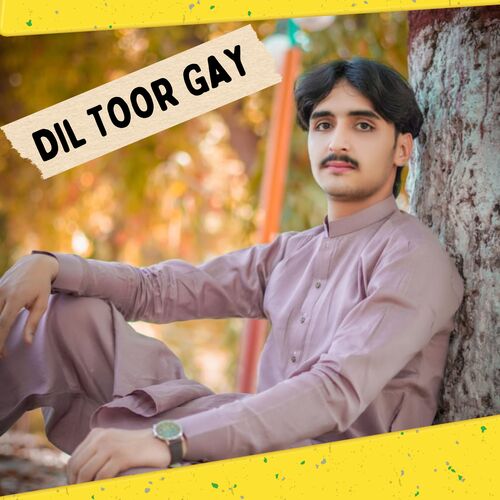 Dil Toor Gay