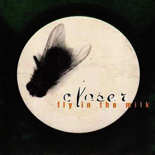 Fly in the Milk
