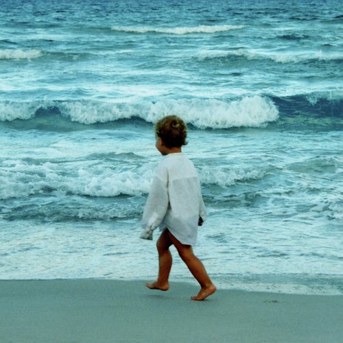 Fly On cover art