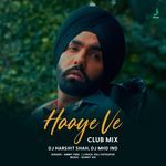Haaye Ve CLUB MIX (Remix)