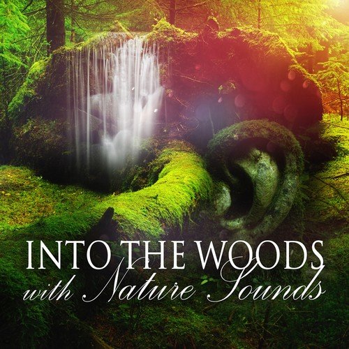 Into the Woods with Nature Sounds