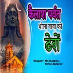 Kailash Parvat Bhola Baba Ko Dhero