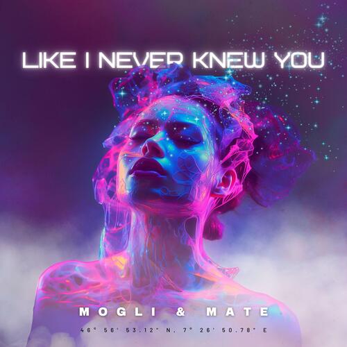 Like I Never Knew You