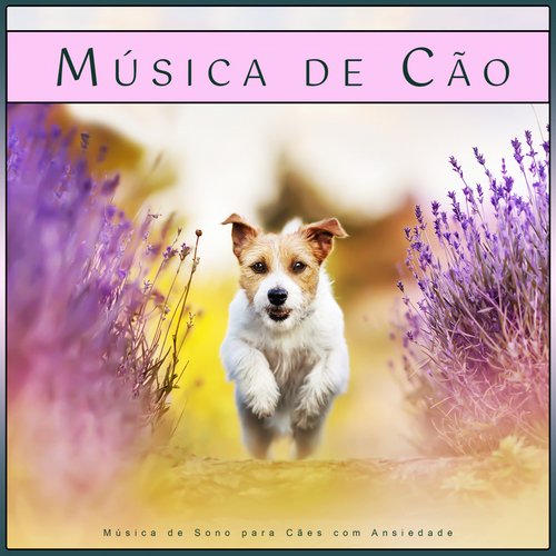 A Melhor Música para Cães cover art