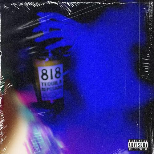 微醺 cover art