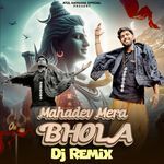 Mahadev Mera Bhola Dj Remix