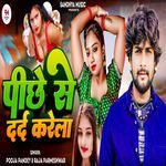 Pichhe Se Dard Karela