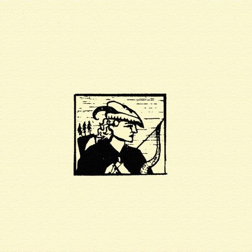 Robin cover art