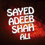 Sayed Adeeb Ali Shah
