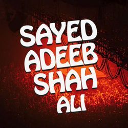 Sayed Adeeb Ali Shah