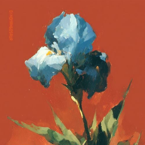 Catch the Mist cover art
