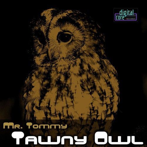 Tawny Owl - EP