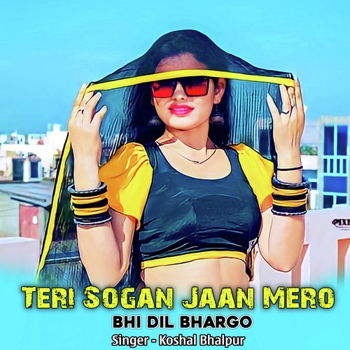 Teri Sogan Jaan Mero Bhi Dil Bhargo