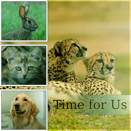 Time for Us – Calming Music to Relax and Calm Down Your Dog, Pet Relaxation, Stress Relief, Anxiety Medication, Sleep Aids, Music Therapy for Dogs, Comfort and Happiness with Nature Sounds