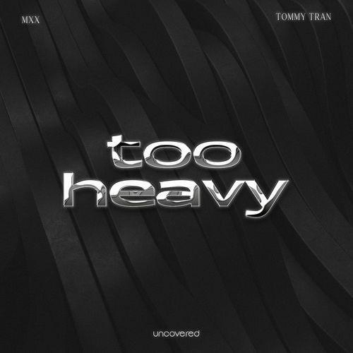 Too Heavy_poster_image