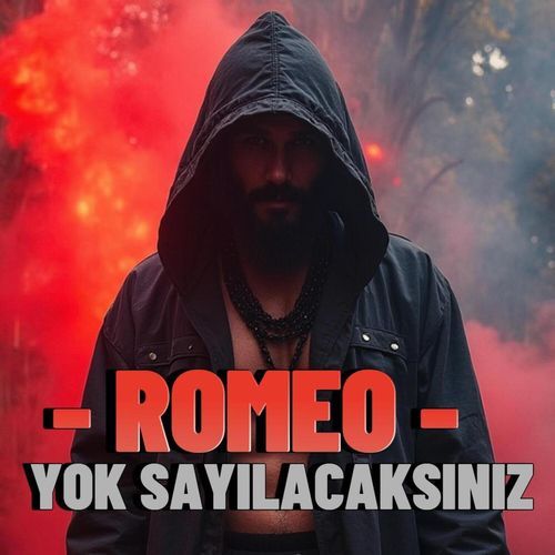 Yok Sayılacaksınız_poster_image