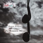 Raza artwork
