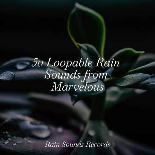50 Loopable Rain Sounds from Marvelous