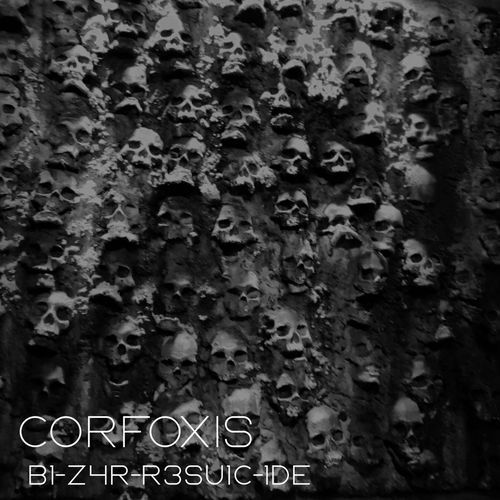 B1-Z4R-R3Su1C-1De cover art