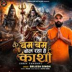 Bam Bam Bol Raha Hai Kashi