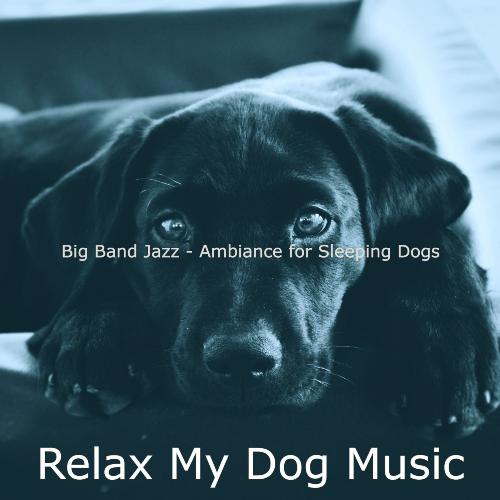 Big Band Jazz - Ambiance for Sleeping Dogs