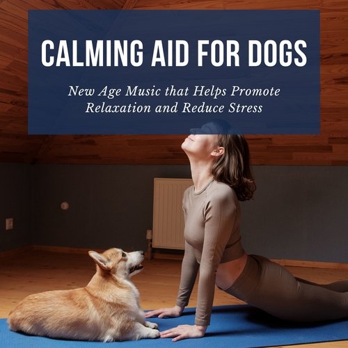 Calming Aid for Dogs - New Age Music that Helps Promote Relaxation and Reduce Stress