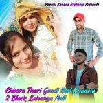 Chhora Thari Gaadi Mal Kunachi 2 Black Lahanga Aali