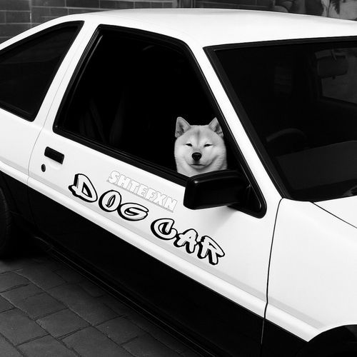 Dog Car cover art